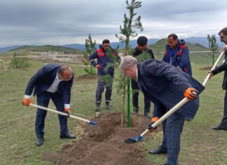 İstismarı yekunlaşan faydalı qazıntı yataqları sahələrində rekultivasiya işlərinə və ağacəkmə aksiyalarına start verilib ağacəkmə