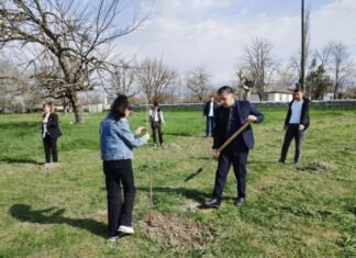 Şimal-qərb bölgəsinin təhsil müəssisələrində ağacəkmə aksiyası keçirilib Şimal-qərb bölgəsinin təhsil müəssisələrində ağacəkmə aksiyası