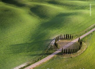 “Dünyanı yenidən yaşıl edək” mövzusunda beynəlxalq fotomüsabiqə elan edilib “Dünyanı yenidən yaşıl edək” mövzusunda beynəlxalq fotomüsabiqə