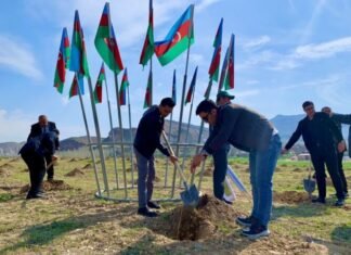 Naxçıvanda media əməkdaşları tərəfindən “Əkinçi bağı” salınıb “Əkinçi bağı”