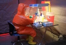 Aparılan epizootoloji monitorinqlər zamanı şübhəli kliniki əlaməti olan quşa rast gəlinməyib epizootoloji monitorinq