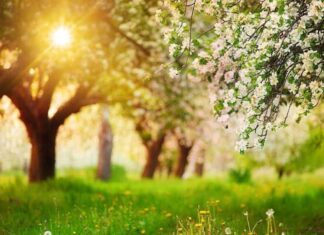 Bayram günlərində gözlənilən hava proqnozu açıqlanıb hava proqnozu