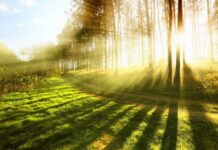 Sabah ölkə ərazisində 33 dərəcə isti olacaq hava şəraiti