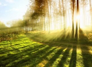 Sabah ölkə ərazisində 33 dərəcə isti olacaq hava şəraiti