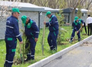 Naxçıvanda “Təbiəti birgə qoruyaq” şüarı ilə aksiya keçirilib Naxçıvanda “Təbiəti birgə qoruyaq” şüarı ilə aksiya