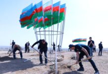 Prokurorluq əməkdaşları 2 hektar ərazidə 1500-dən çox ağac əkiblər ağacəkmə kampaniyası