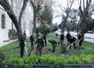 Dövlət Xidməti növbəti dəfə ağacəkmə aksiyası keçirib ağacəkmə aksiyası