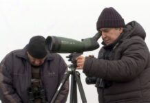 Elçin Sultanov: İqlim dəyişmələri qışlayan quşların sayında azalma ilə nəticələnib Azərbaycan Ornitoloji Cəmiyyətinin direktoru, biologiya üzrə fəlsəfə doktoru Elçin Sultanov