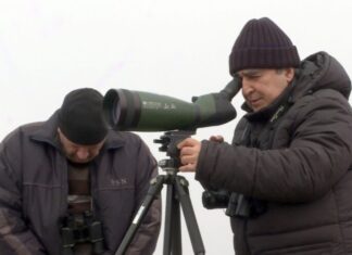 Elçin Sultanov: İqlim dəyişmələri qışlayan quşların sayında azalma ilə nəticələnib Azərbaycan Ornitoloji Cəmiyyətinin direktoru, biologiya üzrə fəlsəfə doktoru Elçin Sultanov