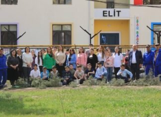 Xətai rayonu ərazisində ağacəkmə aksiyası keçirilib Xətai rayonu ərazisində ağacəkmə aksiyası