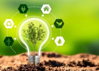 Qlobal problemlərin həllində “yaşıl enerji”nin rolu yaşıl enerji