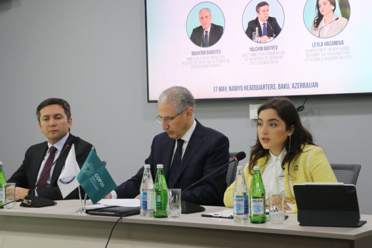 COP29 Sədrliyinin nümayəndələri ilə görüş