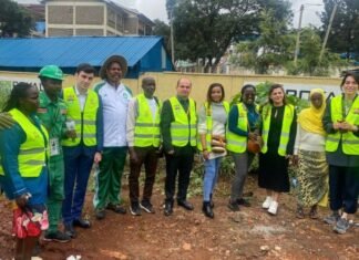 Azərbaycan QHT-ləri ilk dəfə Afrikada ağacəkmə aksiyasında iştirak edib Azərbaycan QHT-ləri ilk dəfə Afrikada ağacəkmə aksiyasında