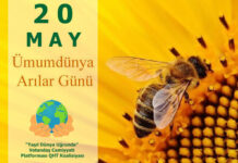 20 may Ümumdünya Arılar Günüdür Ümumdünya Arılar Günü
