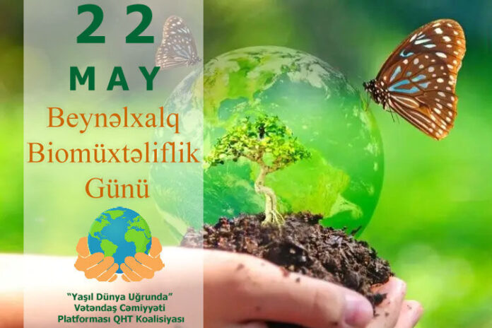 Beynəlxalq Biomüxtəliflik Günü