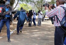 UNESCO: Qlobal ekoloji məsələləri işıqlandıran jurnalistlərin 70 faizi hücuma məruz qalıb jurnalist