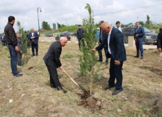 Ulu Öndərin anadan olmasının 101-ci ildönümü münasibətilə Taxtakörpü qəsəbəsində ağacəkmə aksiyası keçirilib Taxtakörpü qəsəbəsində ağacəkmə aksiyası