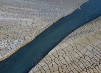 Türkiyə COP29-da iqlim dəyişikliyi ilə bağlı “yol xəritəsi”ni açıqlayacaq Türkiyə