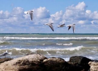 Xəzər dənizində zəlzələ baş verib Xəzər dənizi