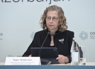 UNEP-in icraçı direktoru: İqlim dəyişikliyi ilə mübarizədə Azərbaycan böyük işlər görür BMT Baş katibinin müavini və UNEP-in icraçı direktoru İnger Andersen