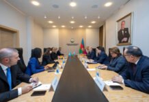 UNEP ilə Azərbaycan arasında COP29 çərçivəsində əməkdaşlıq məsələləri müzakirə edilib Energetika naziri Pərviz Şahbazov ilə BMT Baş katibinin müavini və Ətraf Mühit Proqramının (UNEP) icraçı direktoru İnger Andersen arasında görüş olub