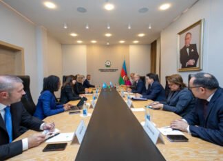 UNEP ilə Azərbaycan arasında COP29 çərçivəsində əməkdaşlıq məsələləri müzakirə edilib Energetika naziri Pərviz Şahbazov ilə BMT Baş katibinin müavini və Ətraf Mühit Proqramının (UNEP) icraçı direktoru İnger Andersen arasında görüş olub