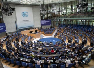 BMT-nin İqlim Dəyişmələri Konfransında bir qrup xarici QHT Azərbaycanla bağlı bəyanat yayıb BMT