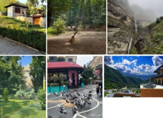 “Yaşıl dünya naminə həmrəylik ili”nə həsr olunmuş fotomüsabiqə “Yaşıl dünya naminə həmrəylik ili”nə həsr olunmuş fotomüsabiqə