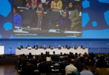 COP28 nümayəndələri: COP29-da adekvat, əlverişli və əlçatan dəstəyi səfərbər edən yeni maliyyə hədəfi yaradılacaq COP28 nümayəndələri