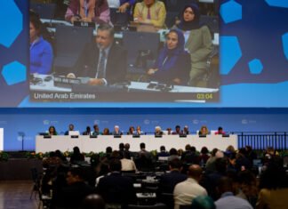 COP28 nümayəndələri: COP29-da adekvat, əlverişli və əlçatan dəstəyi səfərbər edən yeni maliyyə hədəfi yaradılacaq COP28 nümayəndələri