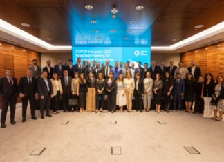 COP29 Əməliyyat Şirkəti biznes nümayəndələri üçün “Milli öhdəlik” proqramına başlayır COP29 Əməliyyat Şirkəti