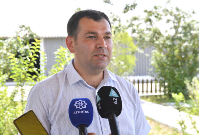 "Xıllı Balıq" MMC-nin direktoru Elşad Əhmədov