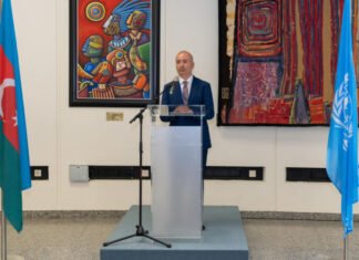 Vyanada Azərbaycanın COP29 sədrliyi ilə bağlı tədbir keçirilib Azərbaycanın xarici işlər nazirinin müavini Fariz Rzayev