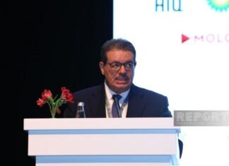 GECF-in baş katibi: “COP29 böyük uğur qazanacaq” Qaz İxrac Edən Ölkələr Forumunun baş katibi (GECF) Mohamed Hamel