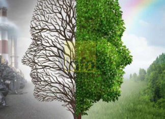 Bonn şəhərində BMT-nin iqlim konfransı keçirilir Almaniyanın Bonn şəhərində BMT-nin beynəlxalq iqlim konfransı işə başlayıb