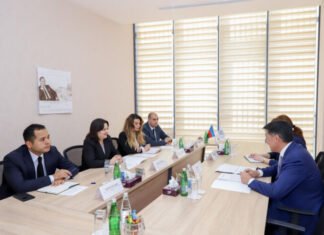 IOFS COP29 çərçivəsində Azərbaycanda keçiriləcək tədbirlərə dəstək verməyə hazırdır IOFS COP29 çərçivəsində Azərbaycanda keçiriləcək tədbirlərə dəstək verməyə hazırdır