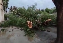 Qeyri-sabit hava şəraiti qərb bölgəsində fəsadlar törədib Qeyri-sabit hava şəraiti qərb bölgəsində fəsadlar törədib