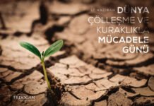 Türkiyə Prezidenti: Biz gələcək nəsillərə ekoloji cəhətdən təmiz ölkə ötürmək niyyətindəyik 17 İyun - Ümumdünya Quraqlıq və Səhralaşma ilə Mübarizə Günü