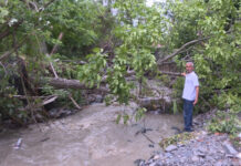 Leysan yağışları Zaqatalanın Yuxarı Tala kəndində 100-ə yaxın təsərrüfata ziyan vurub Zaqatalanın Yuxarı Tala kəndi