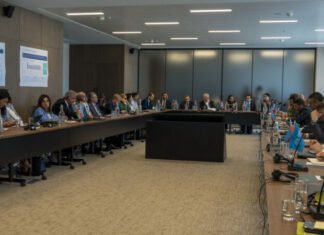 COP29 Azərbaycan Əməliyyat Şirkəti dayanıqlılıq səriştələrinin artırılması üzrə genişmiqyaslı təlim proqramı keçirib COP29 Azərbaycan Əməliyyat Şirkəti dayanıqlılıq səriştələrinin artırılması üzrə genişmiqyaslı təlim proqramı keçirib