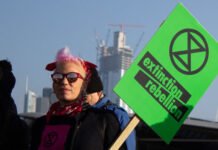 Ekoloqların aksiyasına görə “Köln-Bonn” aeroportu işini dayandırıb Ekoloqların aksiyası