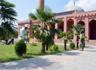 “Yaşıl gələcək naminə” adlı yaşıllaşdırma aksiyası davam etdirilir “Yaşıl gələcək naminə” adlı yaşıllaşdırma aksiyası