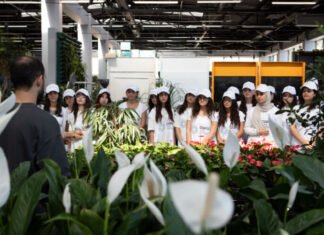 COP29 könüllüləri paytaxtda “Yaşıl gələcək naminə toxum ək” şüarlı aksiya keçiriblər “Yaşıl gələcək naminə toxum ək” şüarlı aksiya