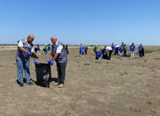 “Təmiz ölkəm” aksiyası çərçivəsində iməciliklər davam edir iməcilik