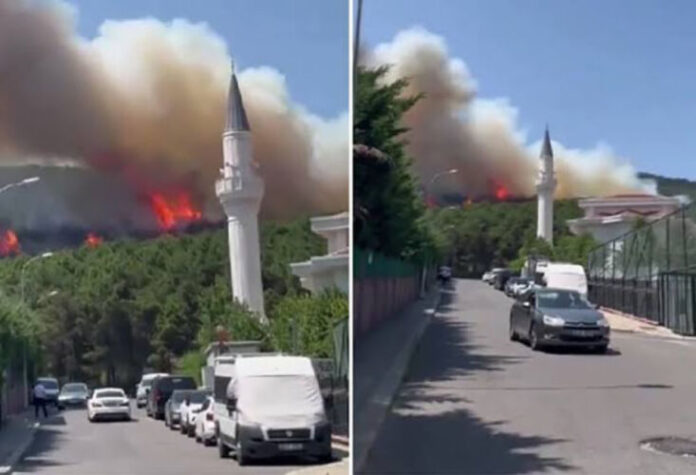 İstanbulda meşə yanğını