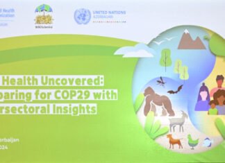 ÜST Azərbaycan və tərəfdaşları COP29-a hazırlıq məqsədilə Vahid Sağlamlıq dialoqu keçirir ÜST Azərbaycan və tərəfdaşları COP29-a hazırlıq məqsədilə Vahid Sağlamlıq dialoqu keçirir