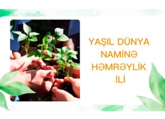 Gənclər Kitabxanasında “Təmiz planet-sağlam həyat” layihəsi davam edir Yaşıl dünya naminə həmrəylik ili