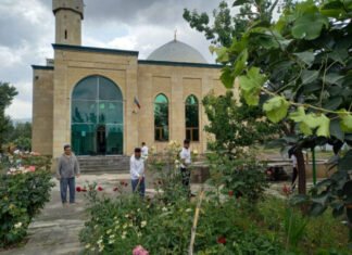 “Yaşıl gələcək naminə” aksiyası davam edir “Yaşıl gələcək naminə” aksiyası