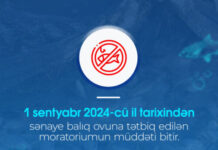 Dövlət Ekoloji Təhlükəsizlik Xidməti və Su Nəqliyyatında Polis İdarəsinin birgə məlumatı balıq ovuna tətbiq edilən moratorium