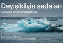COP29 Azərbaycan Əməliyyat Şirkəti beynəlxalq sənədli film müsabiqəsi elan edir “Dəyişikliyin sədaları: Qlobal iqlim fəaliyyətinə baxış” adlı müsabiqə